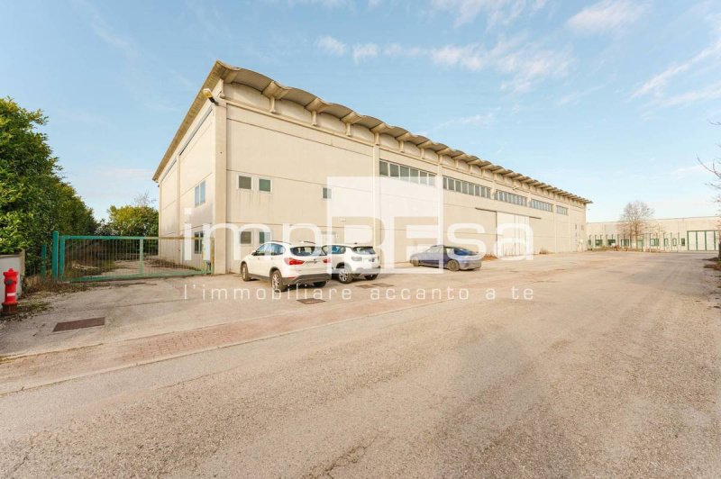 蓬扎诺威尼托商业房产