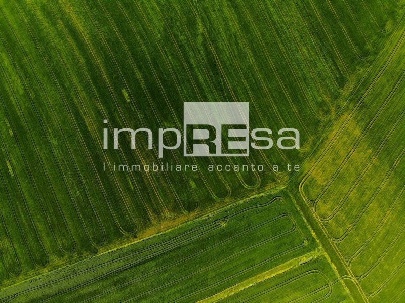 Jordbruksmark i Roncade