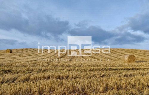 Jordbruksmark i Roncade