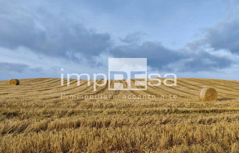 Jordbruksmark i Roncade