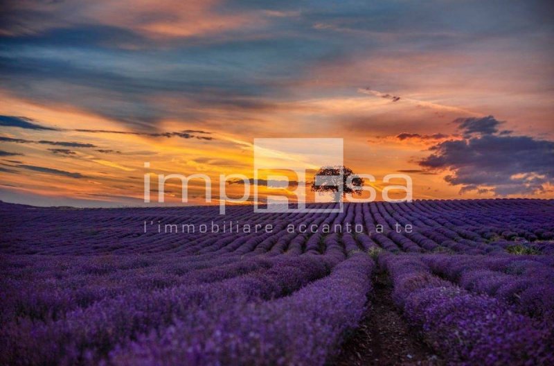 Terreno agrícola em Ceggia