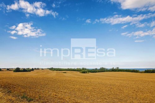 Terreno agrícola em Ceggia