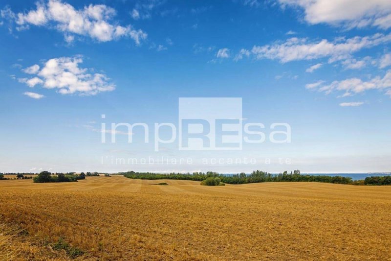 Terreno agrícola em Ceggia