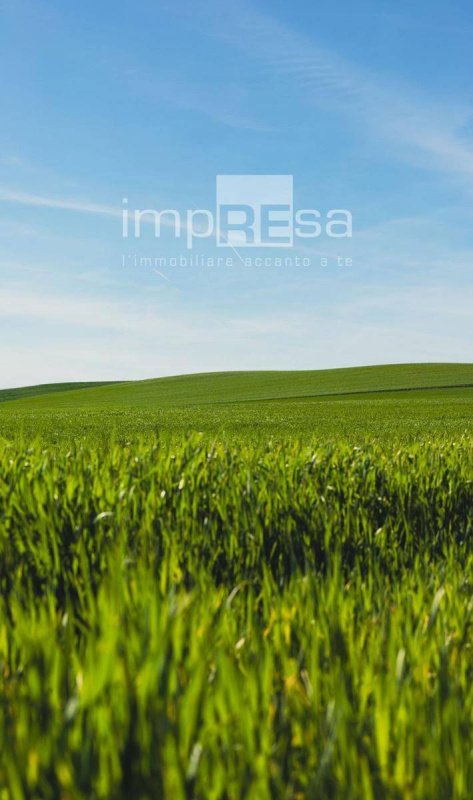 Terreno edificable en Cavallino-Treporti