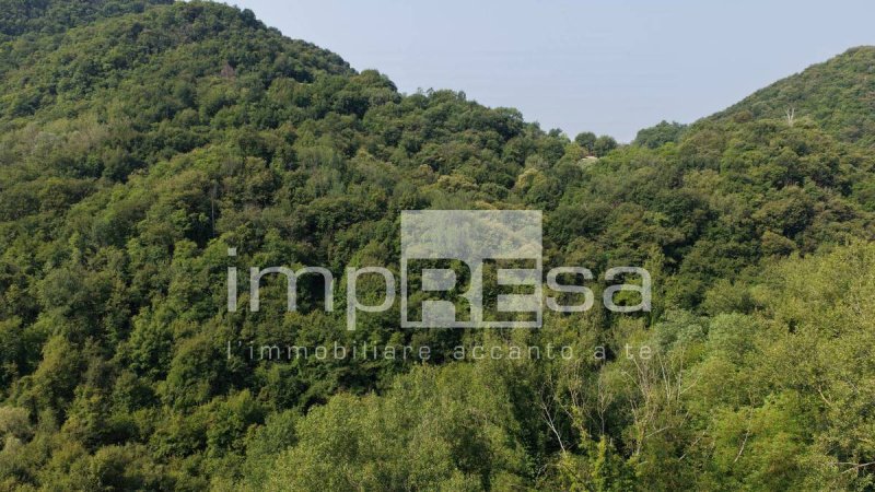 Landbouwgrond in Monfumo