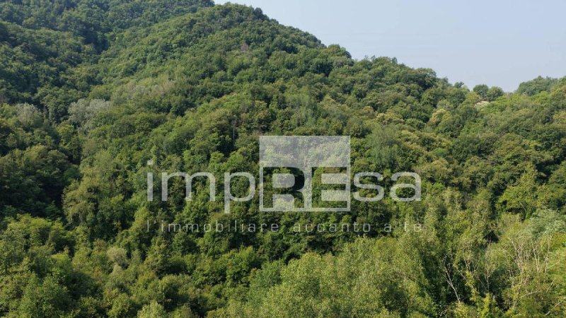 Landbouwgrond in Monfumo