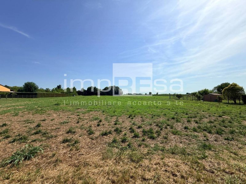 Landwirtschaftliche Fläche in San Biagio di Callalta