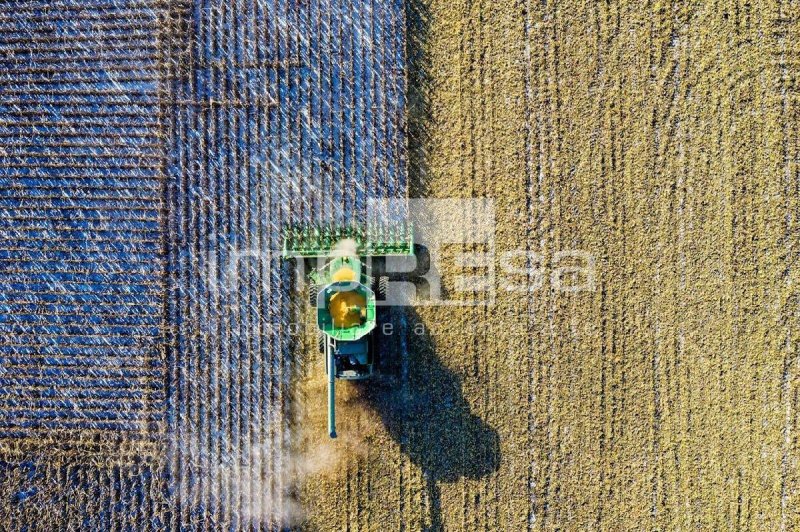 Terreno agricolo a Marcon