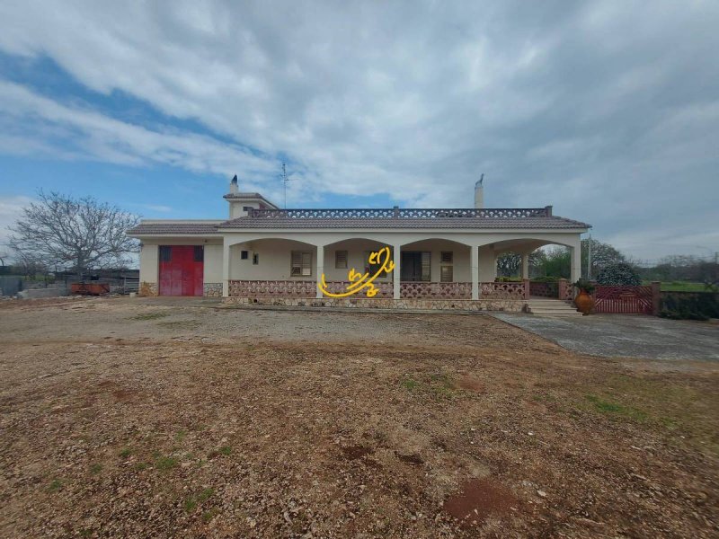 Villa in Noci