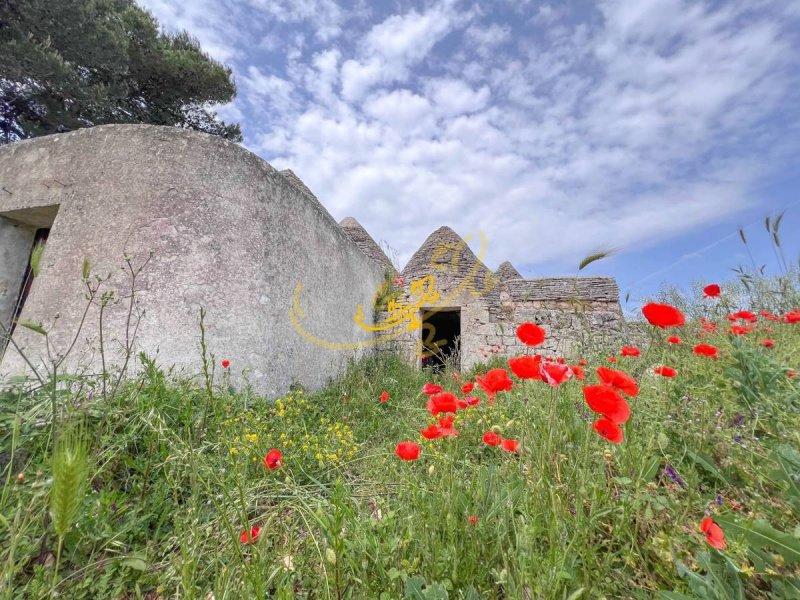 Trulli in Martina Franca