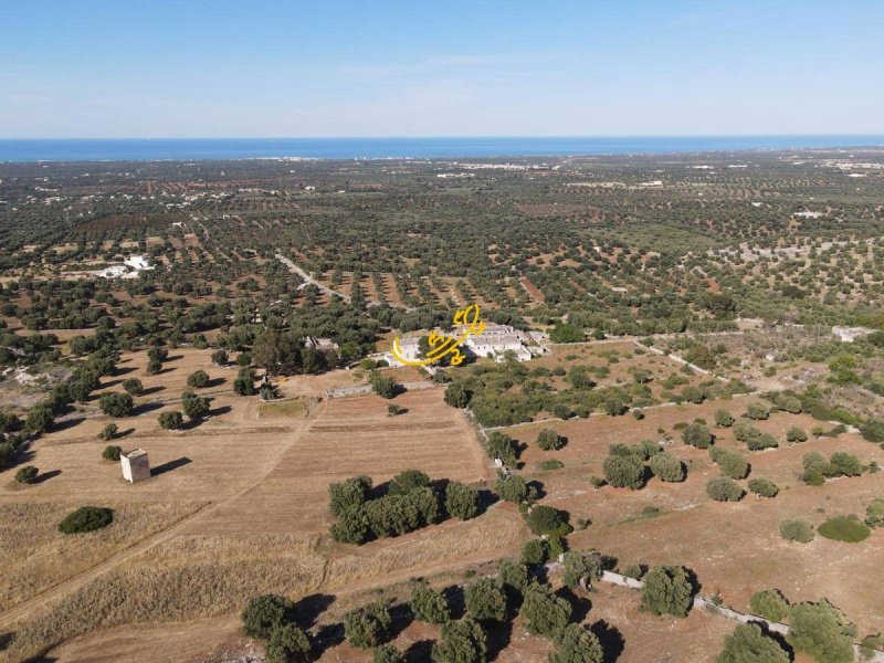 Country house in Fasano
