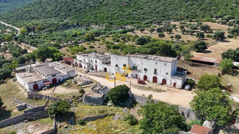 Country house in Fasano