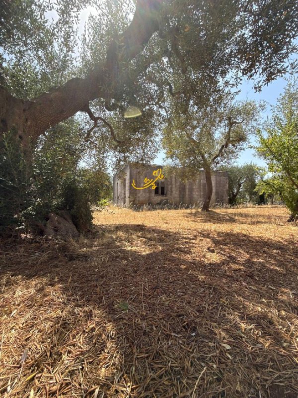 Casa de campo em Monopoli