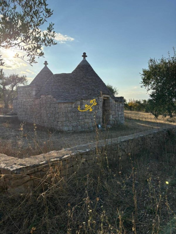 阿尔贝罗贝洛特魯洛