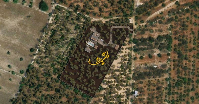 Вилла в Полиньяно-а-Маре