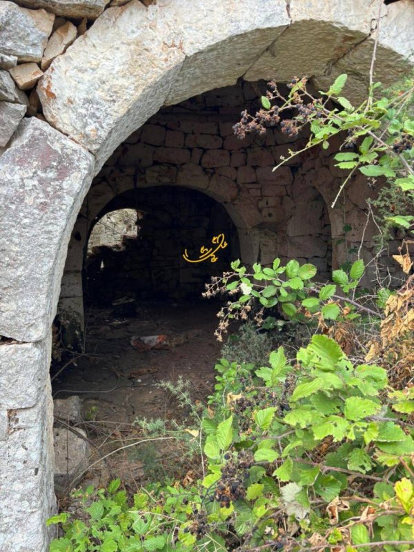 Трулло в Ночи