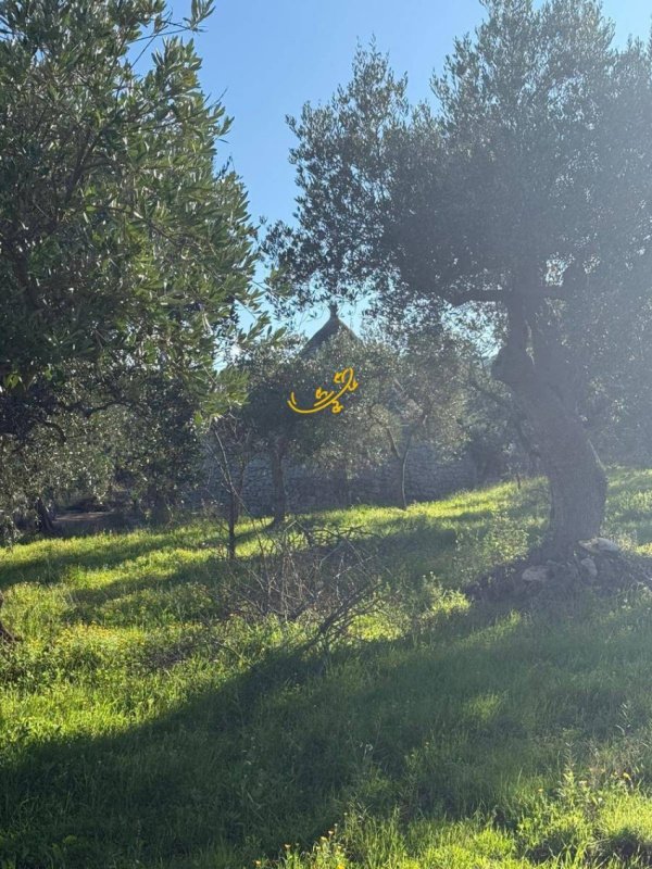 Casa Trullo em Polignano a Mare