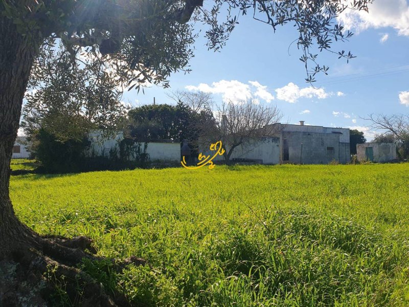 Hus på landet i Ostuni