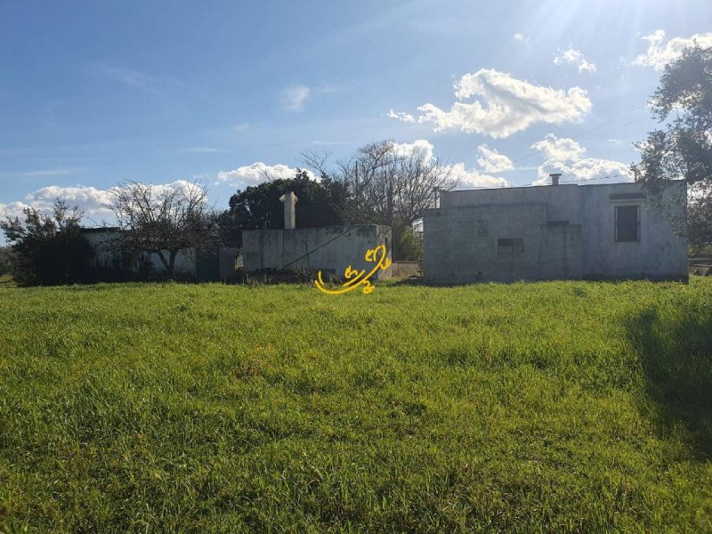 Hus på landet i Ostuni