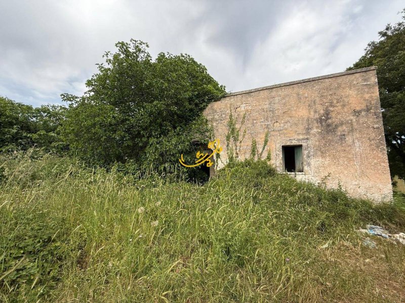 Casa di campagna a Monopoli