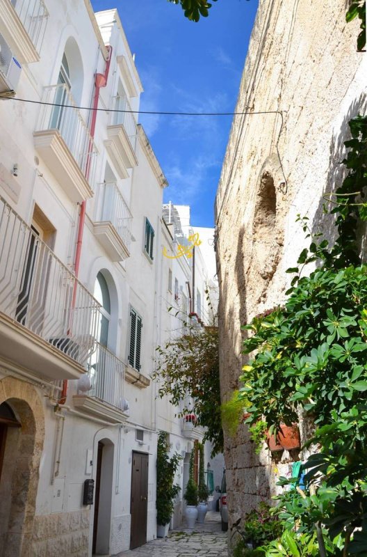 Apartment in Monopoli