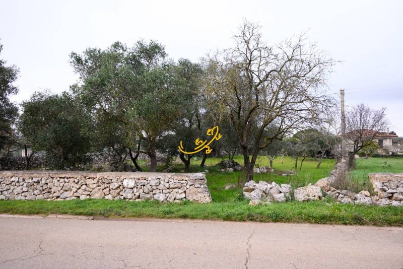 Trullo (Rundhaus) in Noci