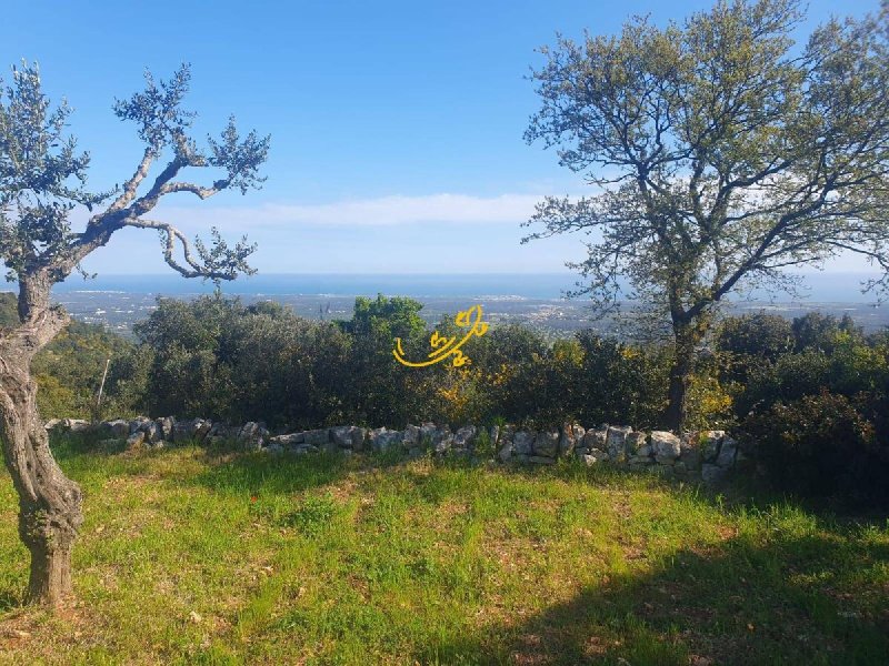 Trullo à Cisternino