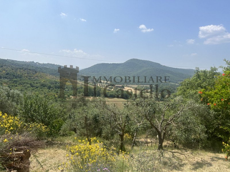 Дом в Паникале