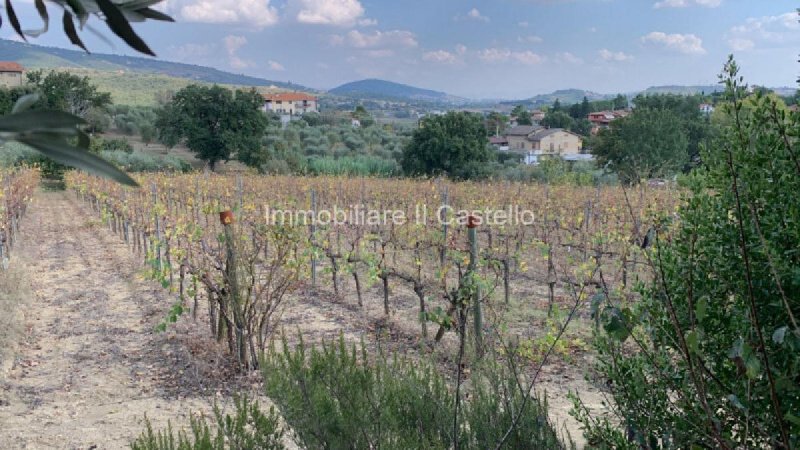 Building plot in Corciano