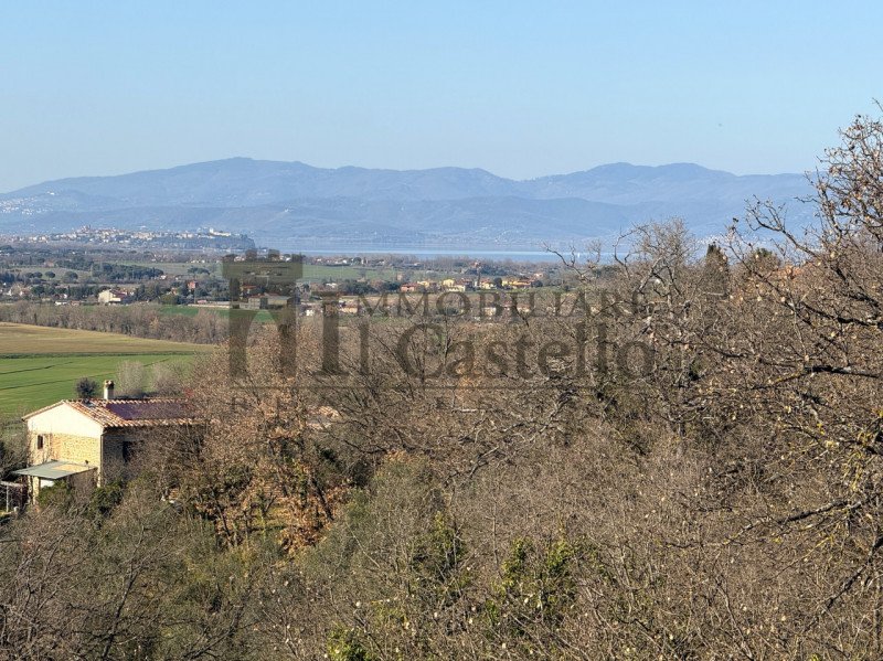 Сельский дом в Паникале