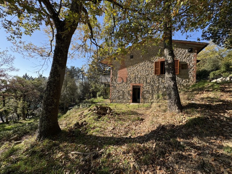 特拉西梅诺湖畔托罗房屋