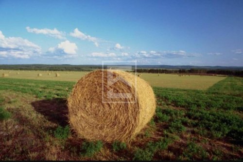 Agricultural land in Bedizzole