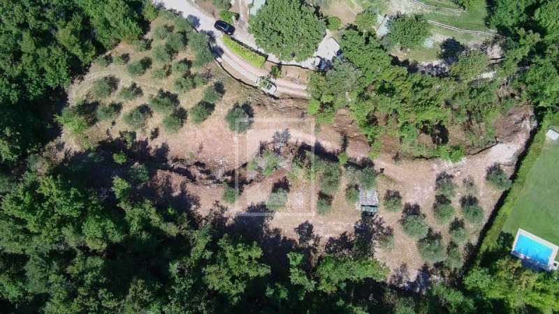 托斯科拉诺-马德尔诺农用土地