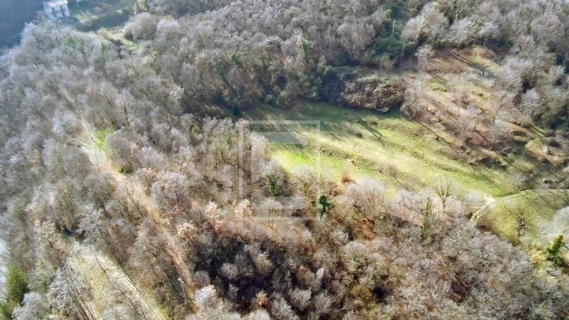 Jordbruksmark i Salò