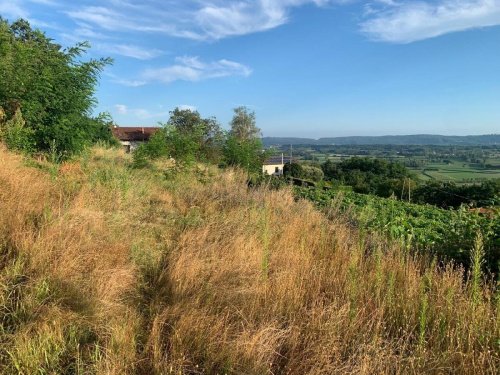 Building plot in Bollengo