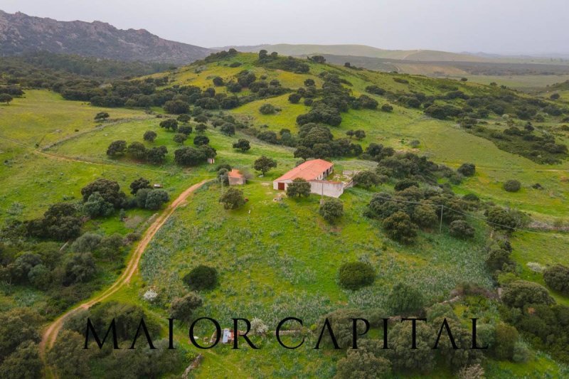 Landbouwgrond in Berchidda