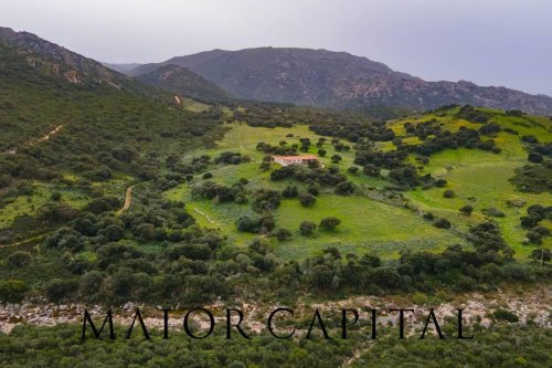 Landbouwgrond in Berchidda