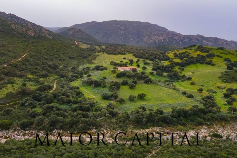 Terreno agrícola en Berchidda