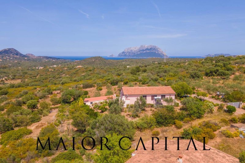 Villa in Olbia