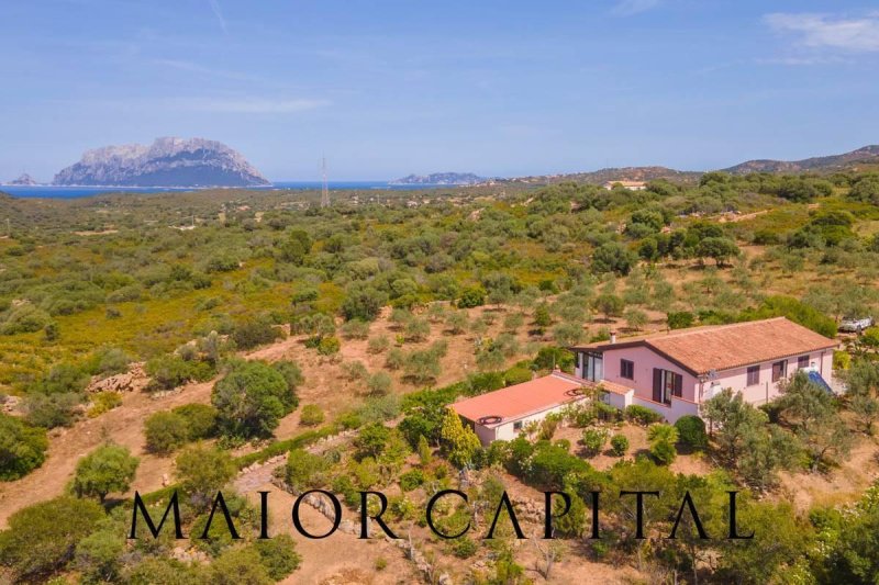 Villa in Olbia