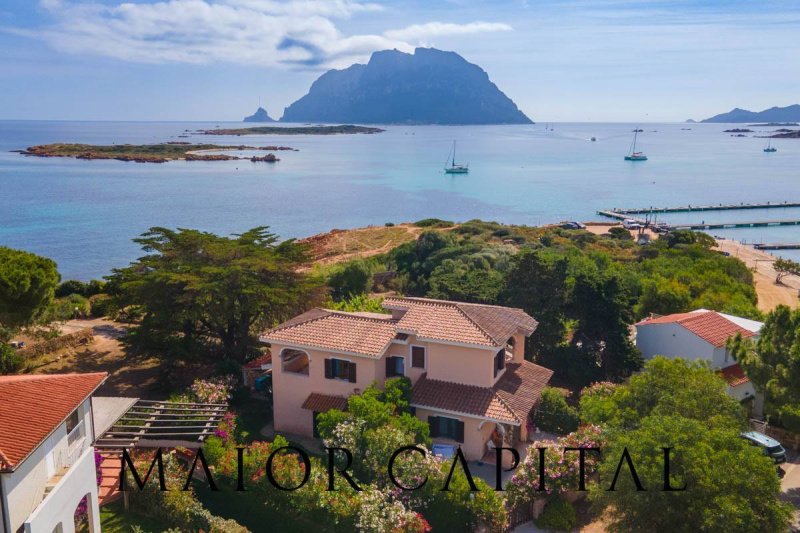 Villa i Loiri Porto San Paolo