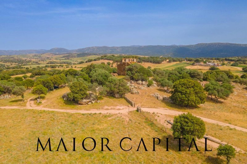 Landwirtschaftliche Fläche in Olbia