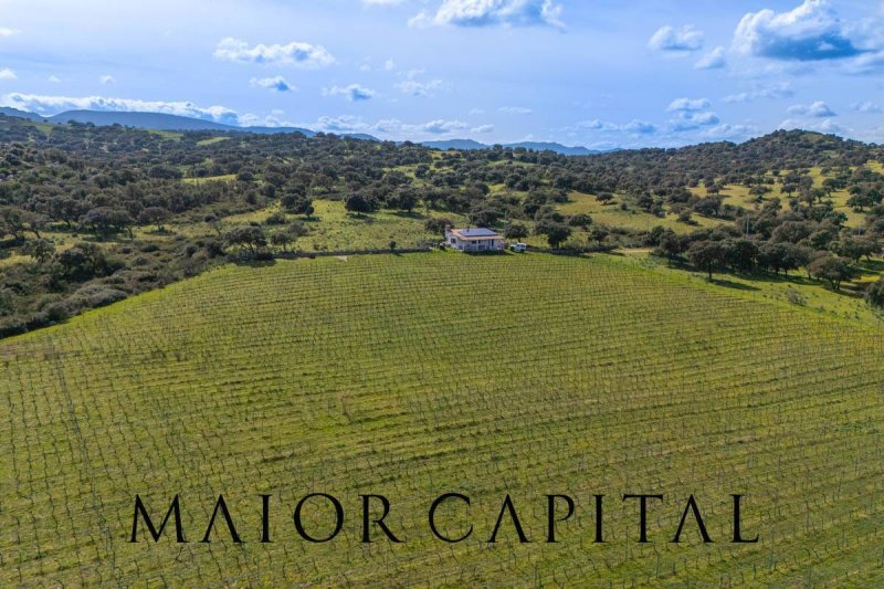 Terreno agrícola em Oschiri