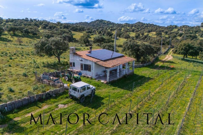 奥斯基里农用土地