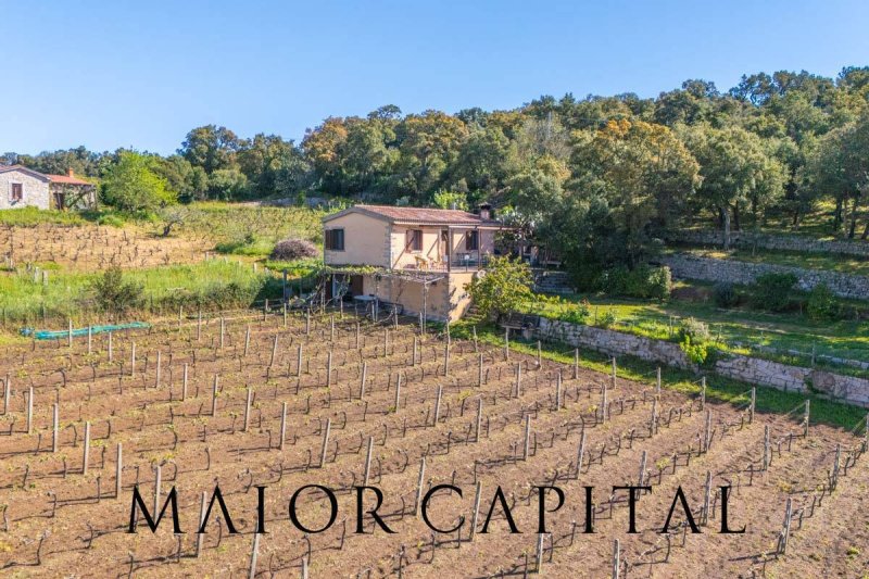 Detached house in Calangianus