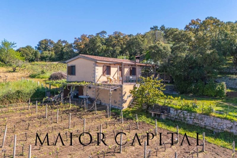 Detached house in Calangianus