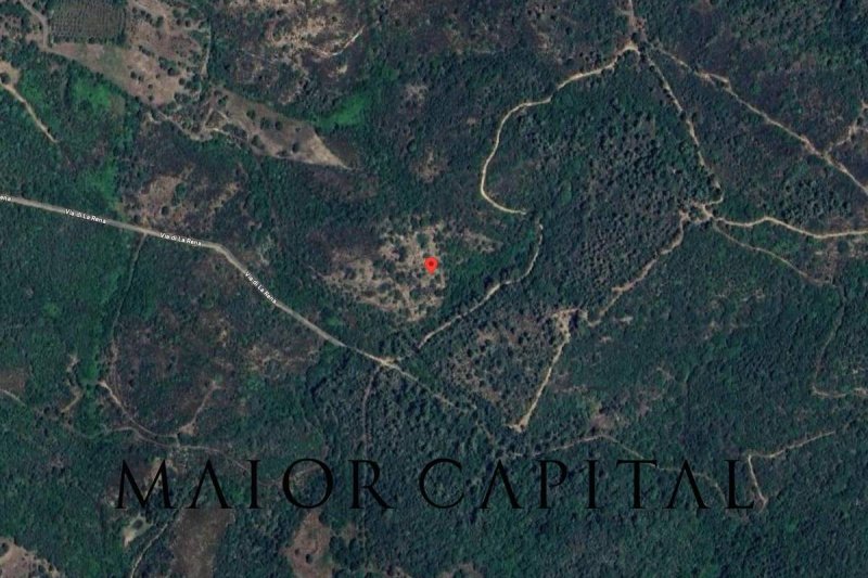 圣特奥多罗农用土地