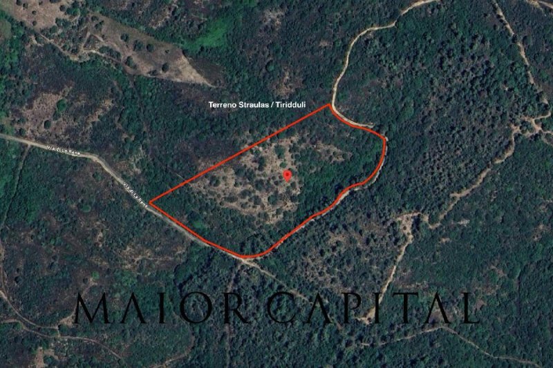 圣特奥多罗农用土地