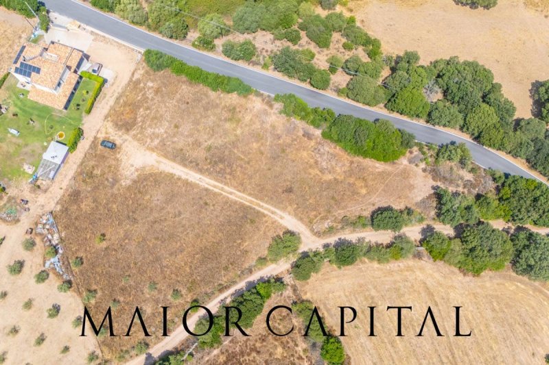 Terrain à bâtir à Loiri Porto San Paolo