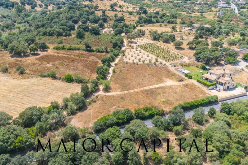 Terrain à bâtir à Loiri Porto San Paolo